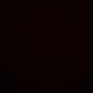 Meet your Posher, Ramzie